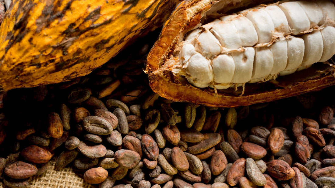 The 30-Day Cacao Transformation: What Science Says About Daily Ceremonial Cacao