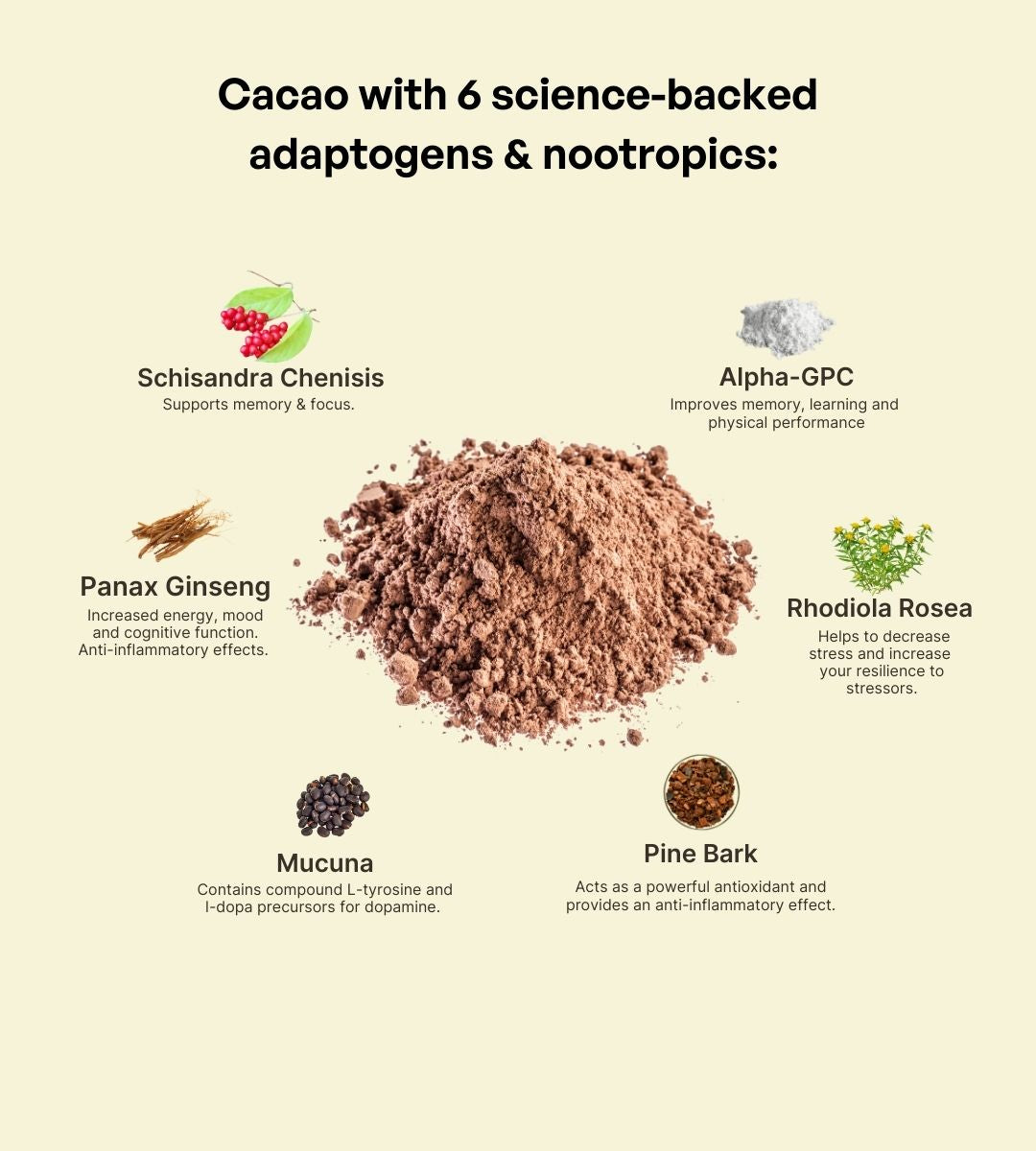 VITAL RISE - cacao & adaptogens